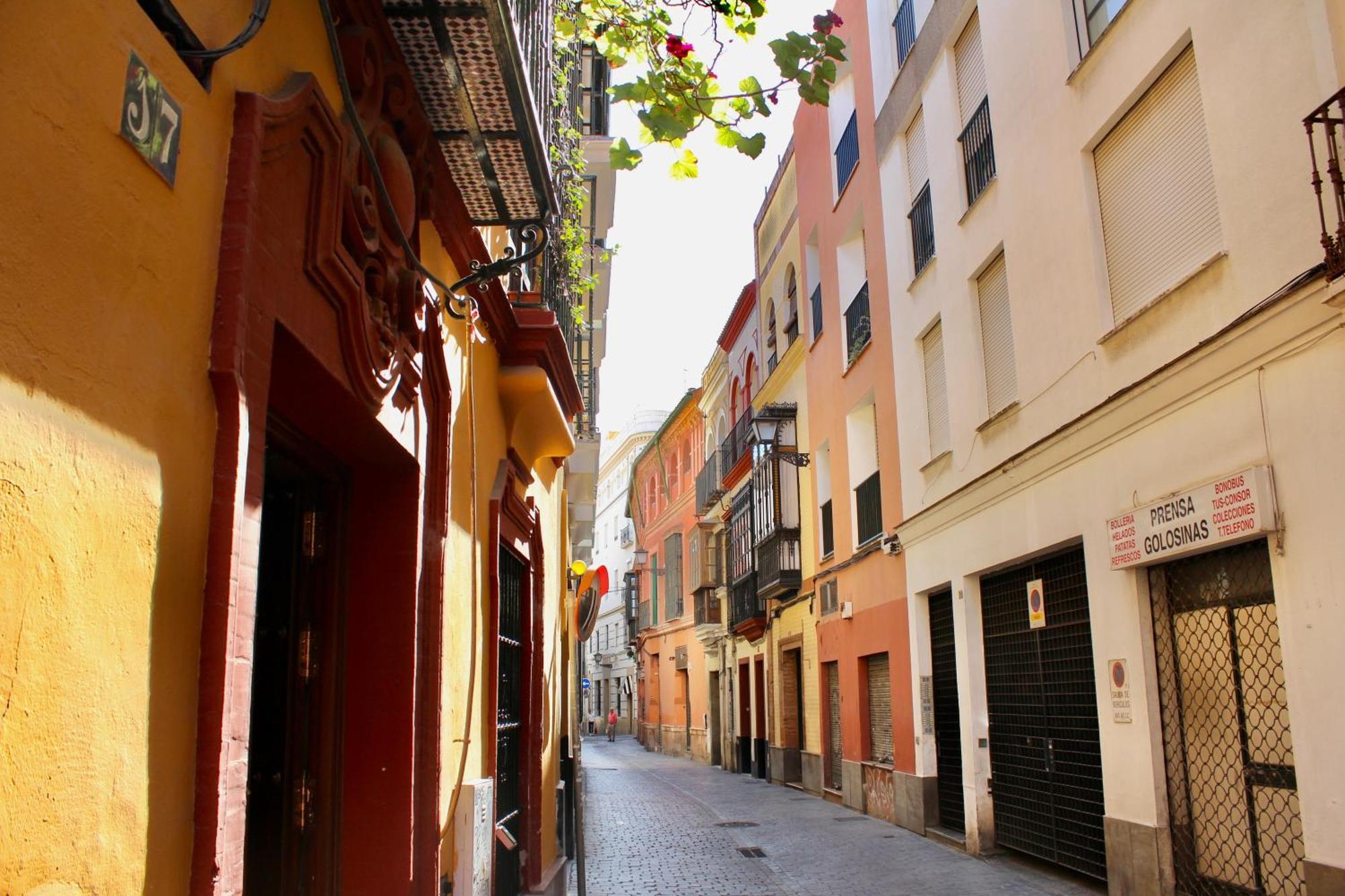 Wish Plaza Nueva * Seville