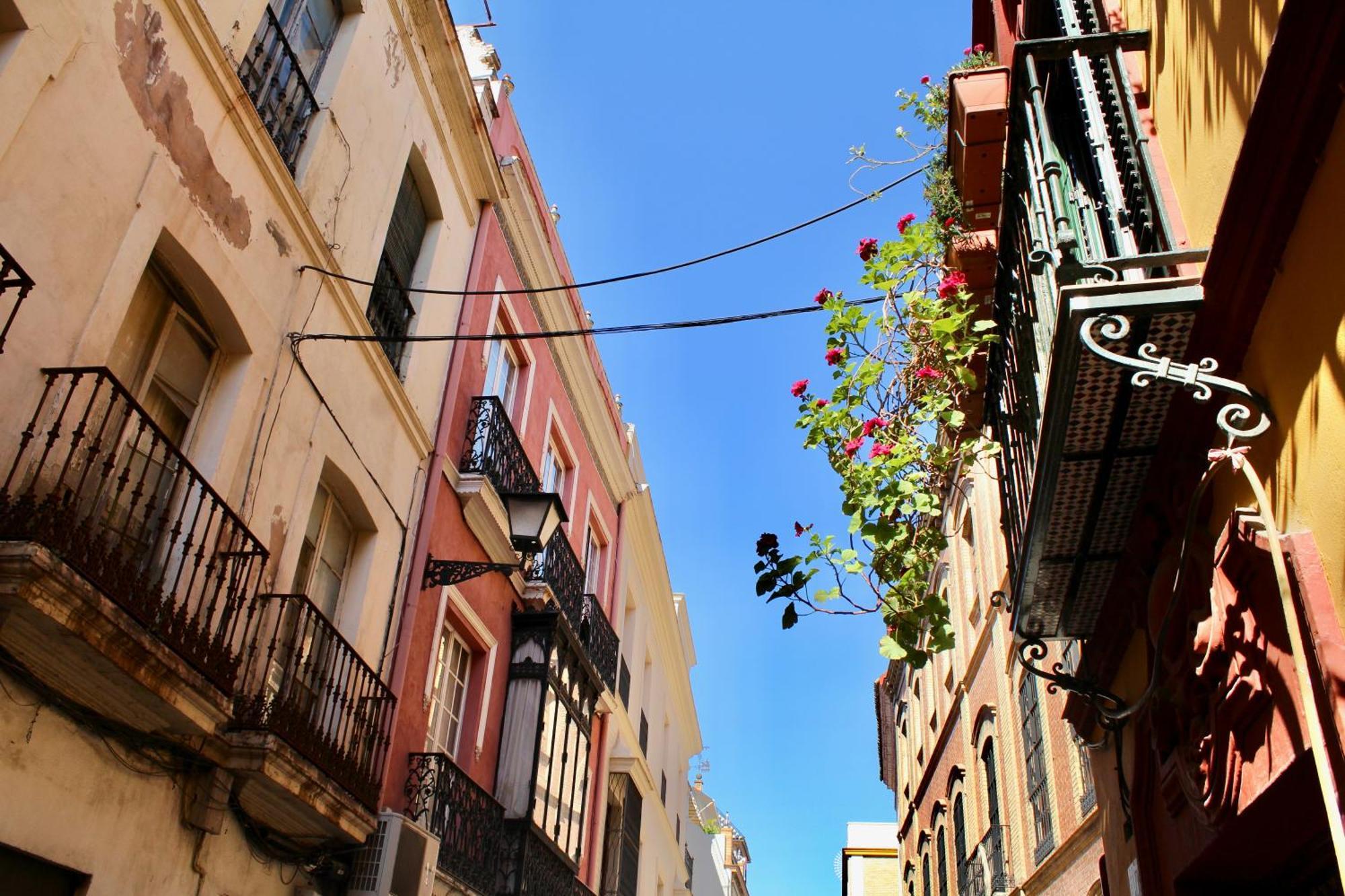 Appartement Wish Plaza Nueva